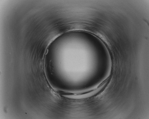 X0000096391145200801311315