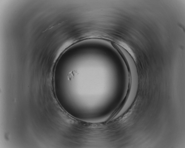 X0000096391146200801311315