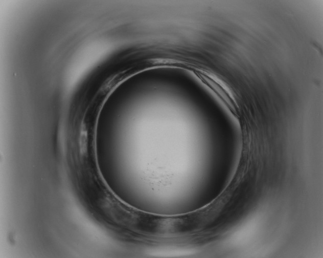 X0000096391151200801311315