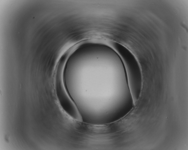 X0000096391152200801311315