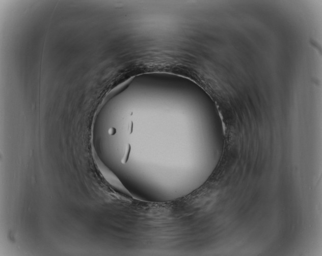 X0000096391153200801311315