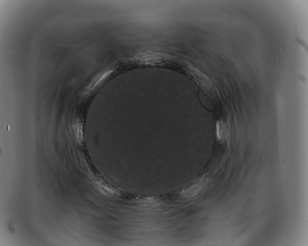 X0000096391155200801311315