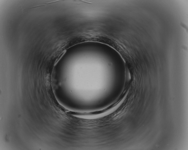 X0000096391156200801311315