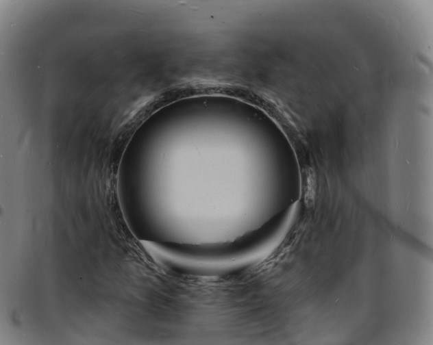 X0000096391157200801311315