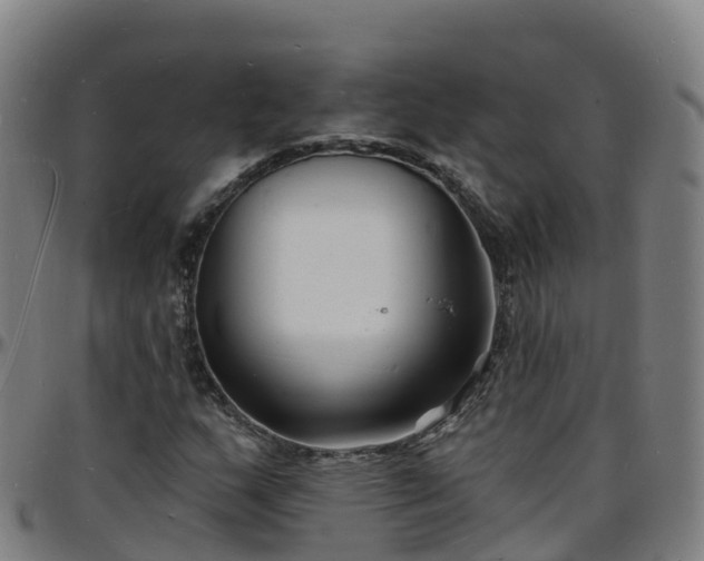 X0000096391159200801311315