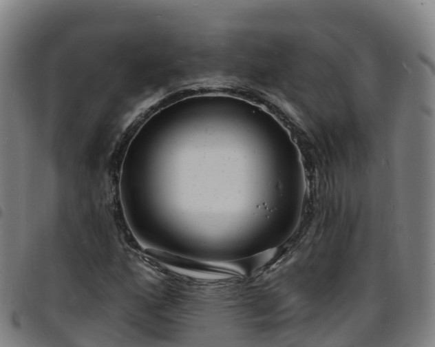 X0000096391160200801311315