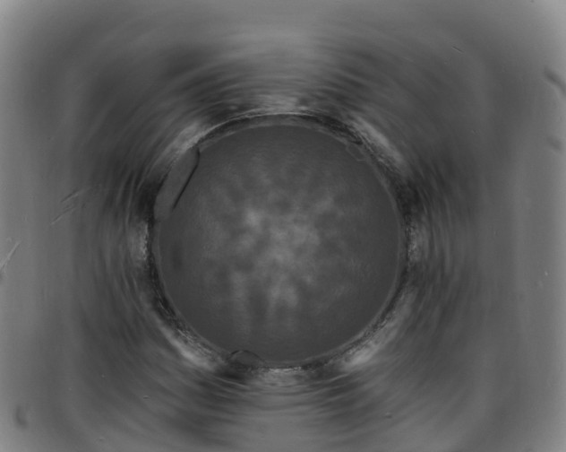 X0000096391161200801311315