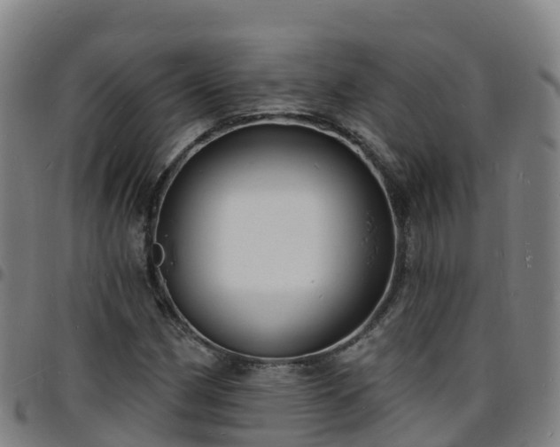 X0000096391162200801311315