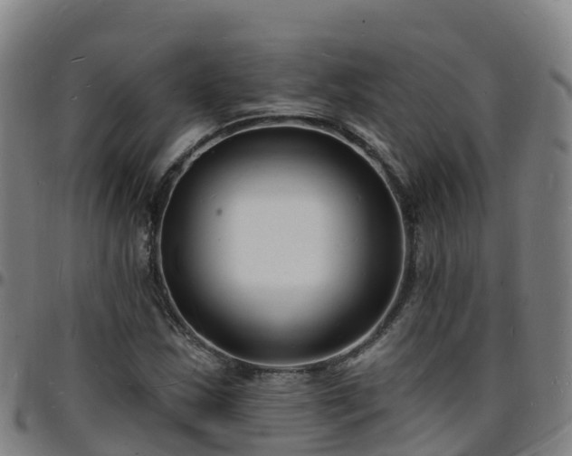 X0000096391163200801311315