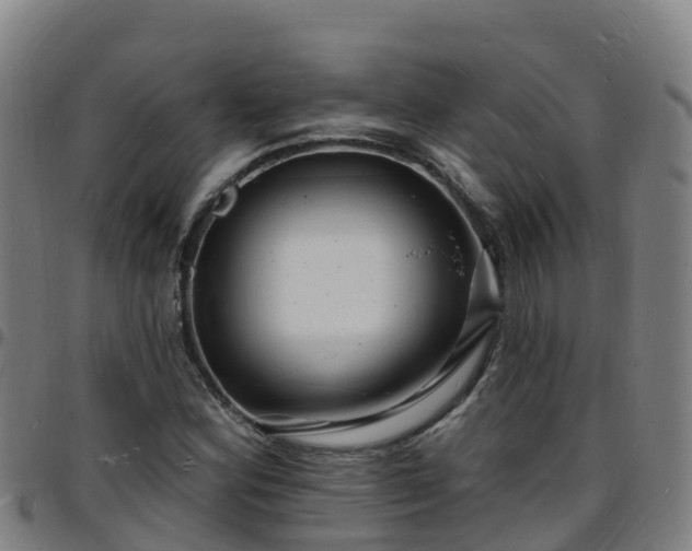 X0000096391164200801311315