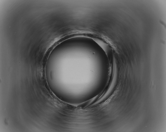 X0000096391165200801311315