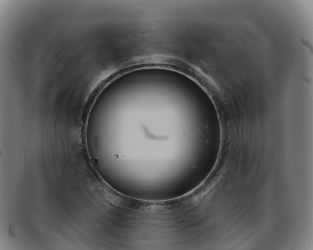 X0000096391166200801311315
