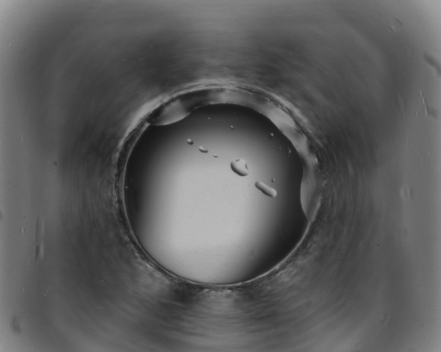 X0000096391168200801311315