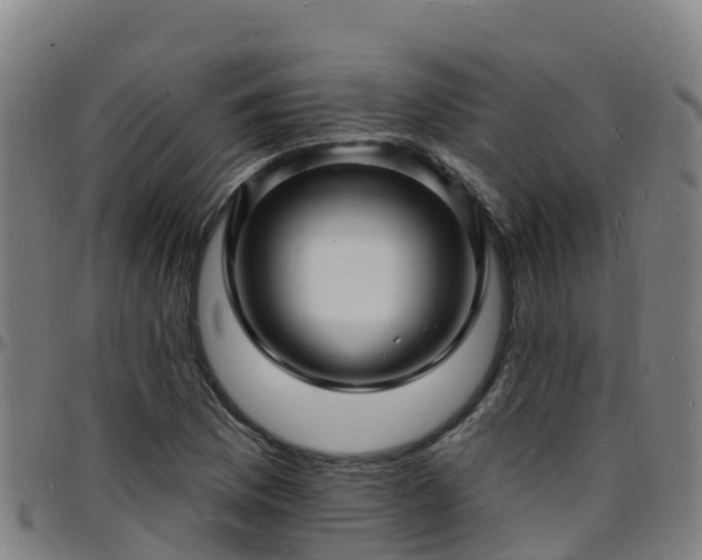 X0000096391169200801311315