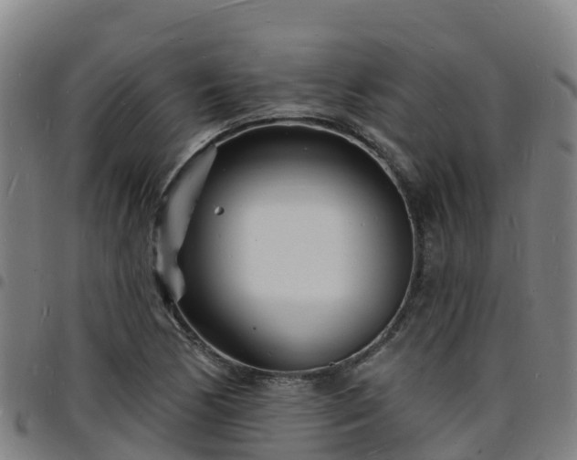 X0000096391170200801311314