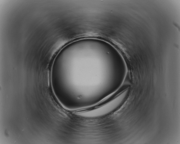 X0000096391171200801311314