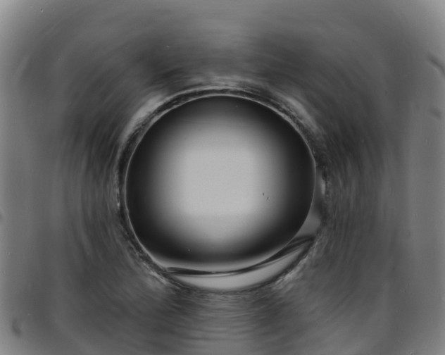 X0000096391172200801311314