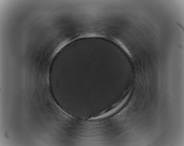 X0000096391173200801311314
