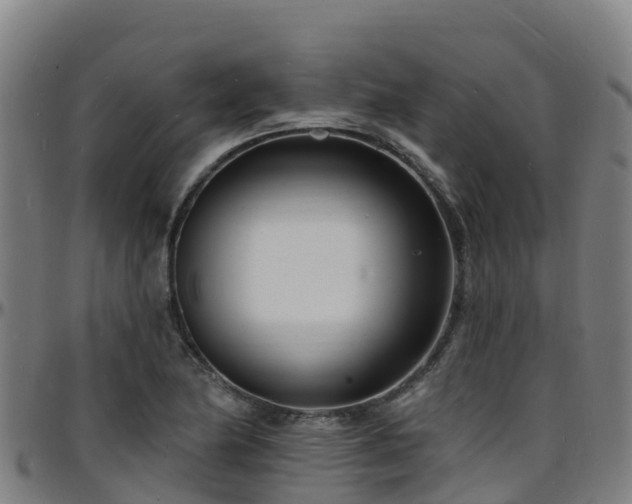 X0000096391174200801311314