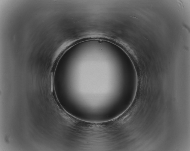 X0000096391175200801311314