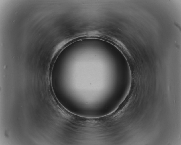 X0000096391176200801311314
