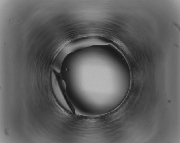 X0000096391177200801311314