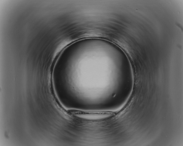 X0000096391179200801311314