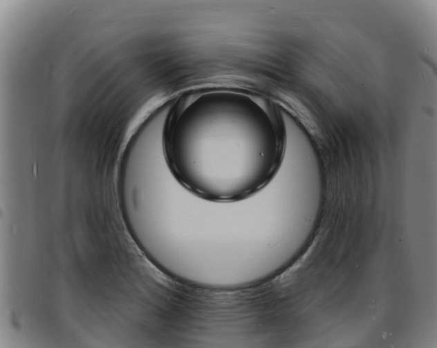X0000096391180200801311314
