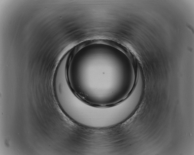 X0000096391181200801311314