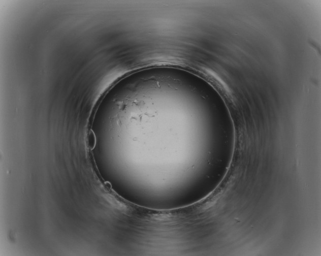 X0000096391182200801311314