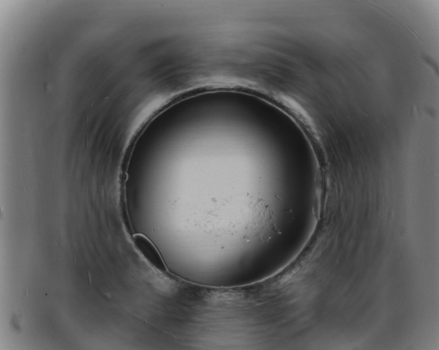X0000096391183200801311314