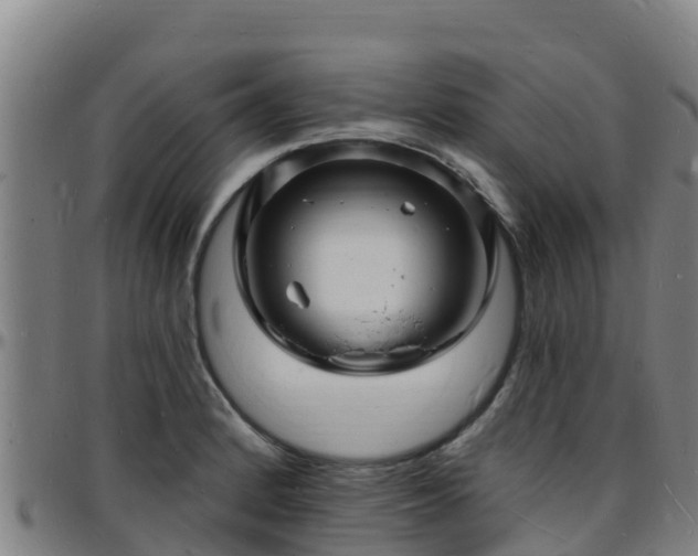 X0000096391184200801311314