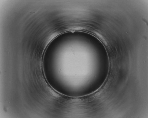X0000096391186200801311314