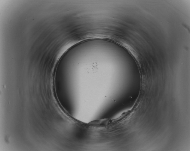 X0000096391187200801311314