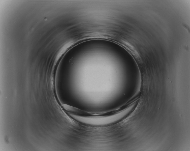 X0000096391188200801311314