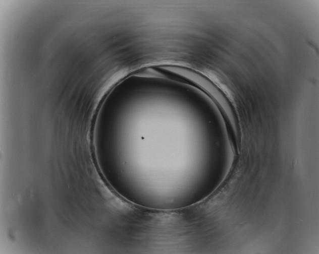 X0000096391189200801311314