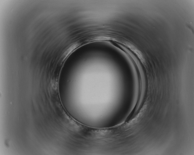 X0000096391193200801311314