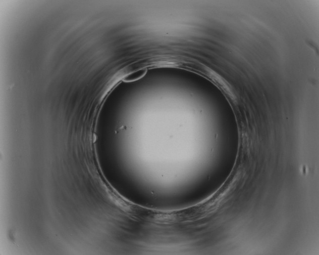 X0000096391194200801311314