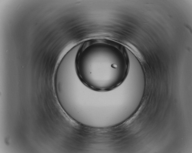 X0000096391196200801311314
