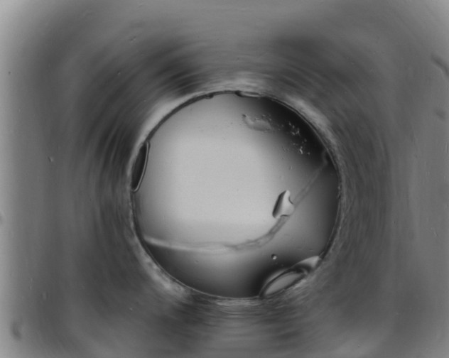 X0000096391200200801311314