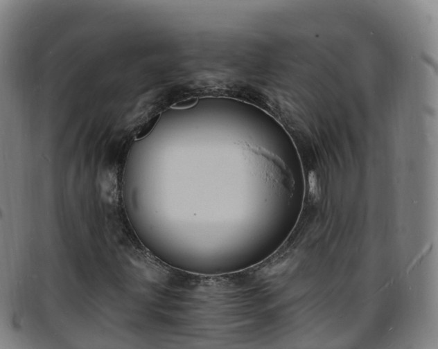 X0000096391203200801311313
