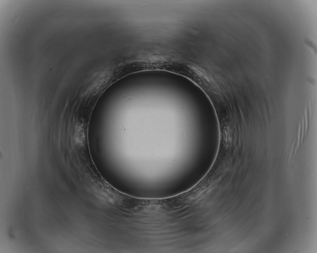 X0000096391204200801311313