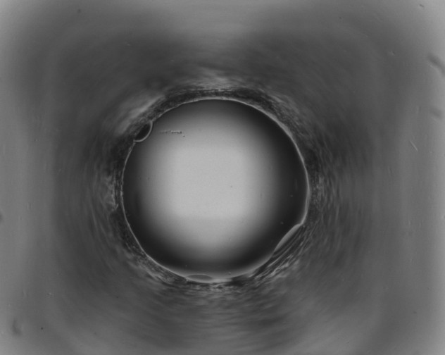X0000096391205200801311313