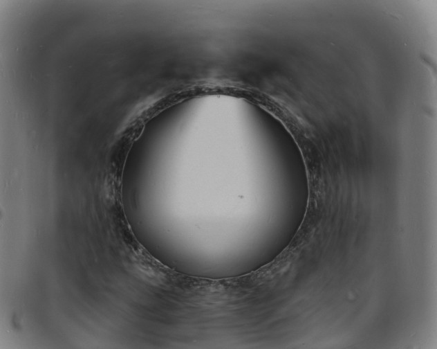 X0000096391207200801311314