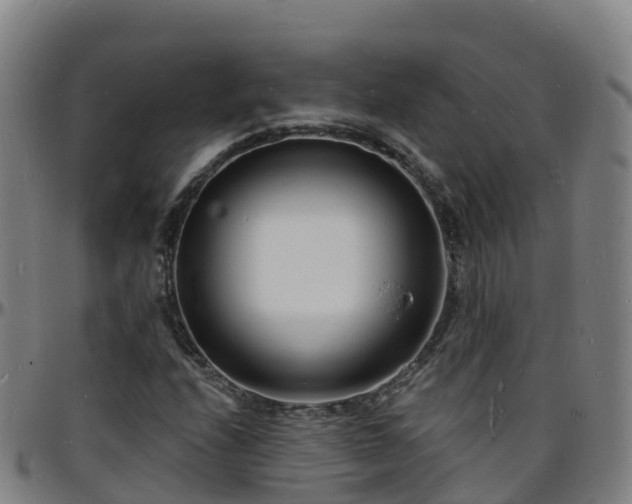 X0000096391208200801311314
