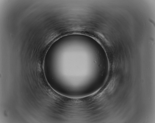 X0000096391209200801311314