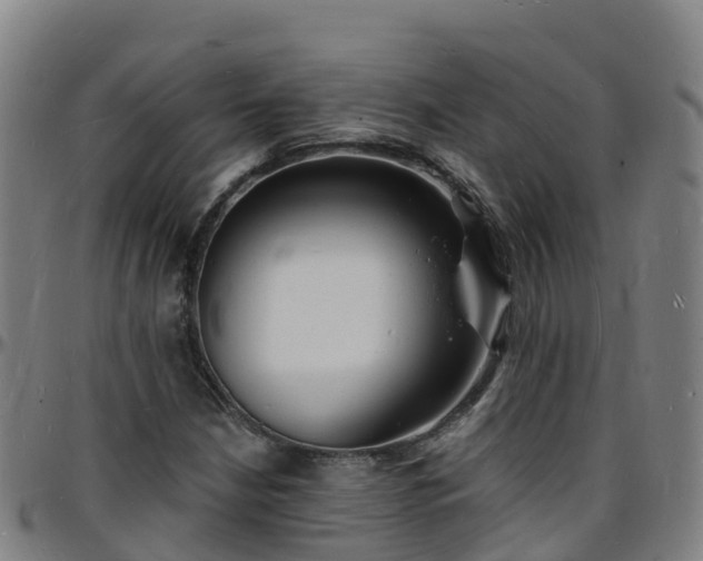 X0000096391210200801311314