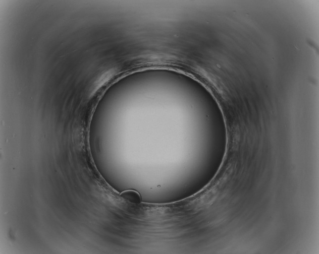 X0000096391211200801311314