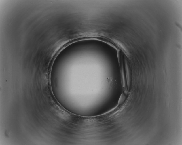 X0000096391212200801311314