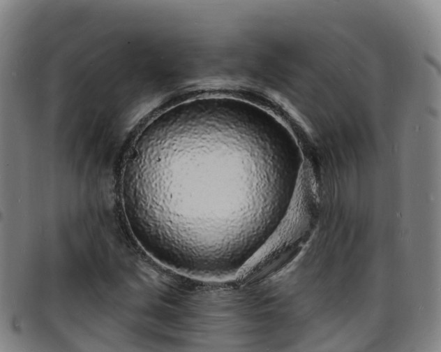 X0000096391213200801311314